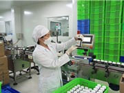 Sản phẩm hỗ trợ tăng cường trí nhớ từ hương nhu tía và rau sam đắng